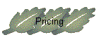 Pricing