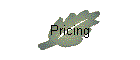 Pricing