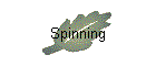 Spinning