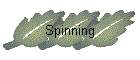 Spinning